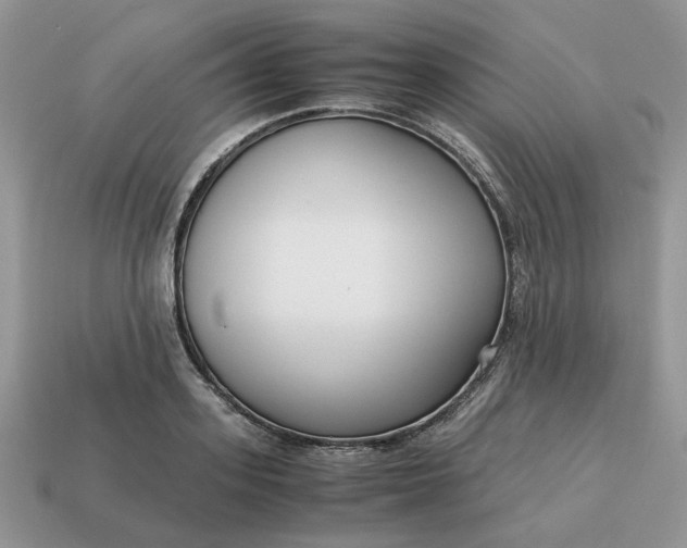 X0000114600939200911091314