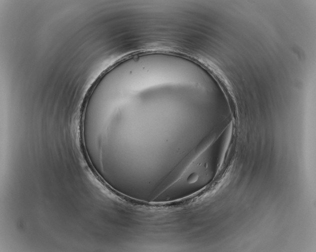 X0000114600941200911091314