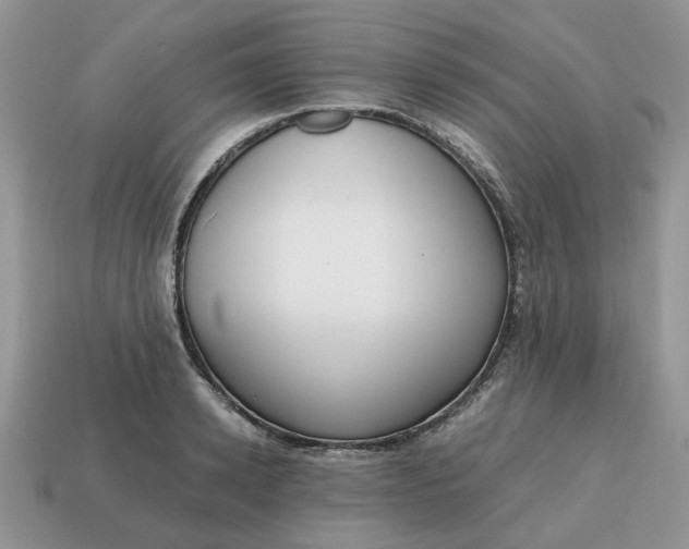 X0000114600942200911091314