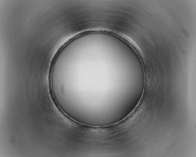 X0000114600943200911091314