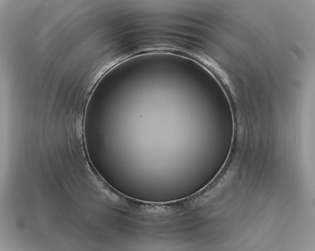 X0000114600945200911091314