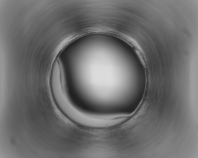 X0000114600946200911091314