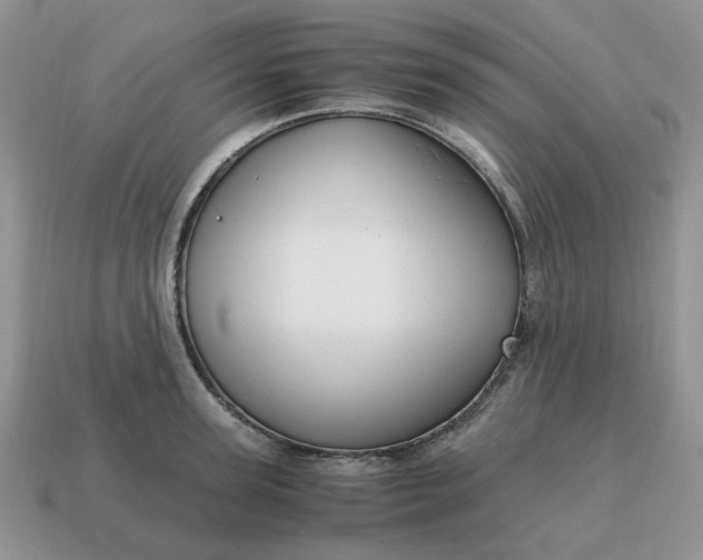 X0000114600947200911091314