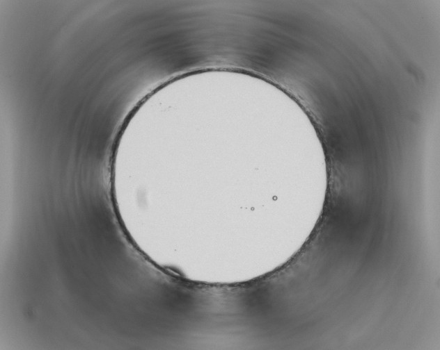 X0000114600950200911091314