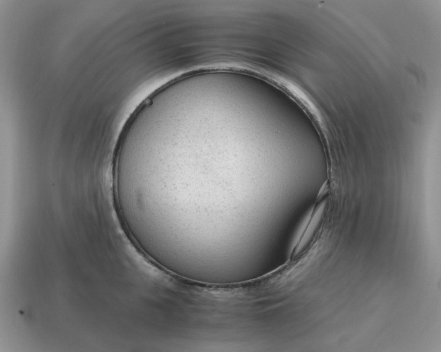 X0000114600951200911091314