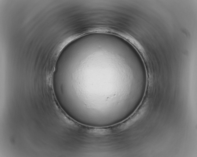 X0000114600953200911091314