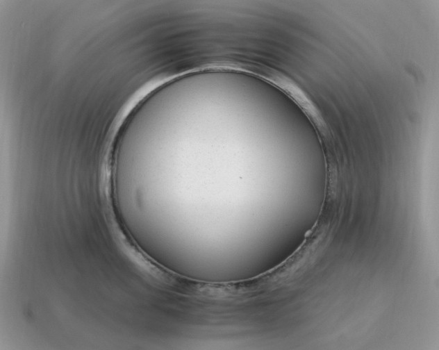 X0000114600955200911091315