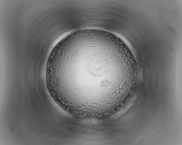 X0000114600957200911091315