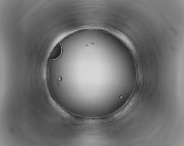 X0000114600958200911091315