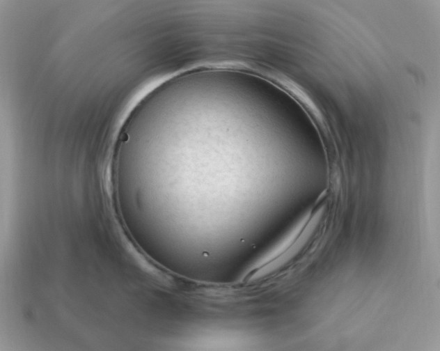 X0000114600959200911091315