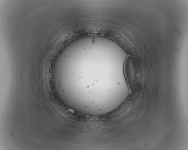 X0000114600961200911091314