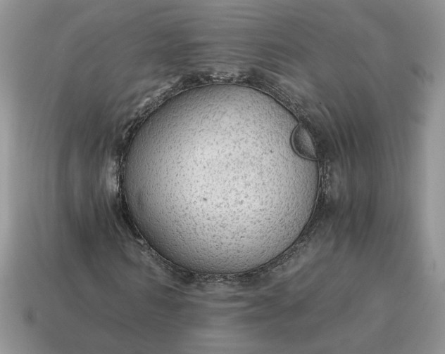 X0000114600962200911091314