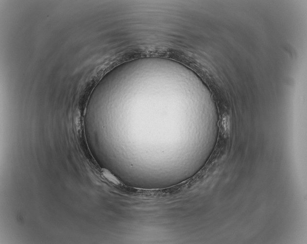 X0000114600963200911091314