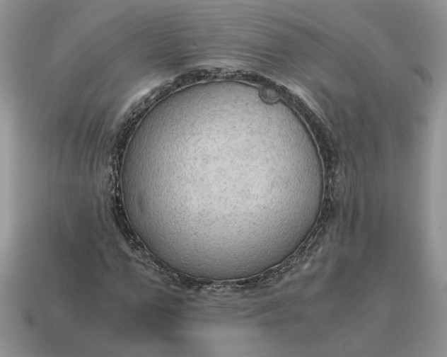 X0000114600967200911091314