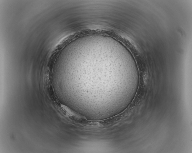 X0000114600968200911091314