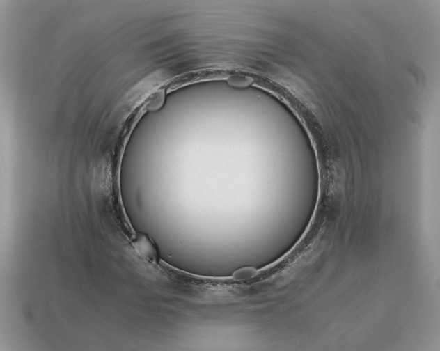 X0000114600969200911091314