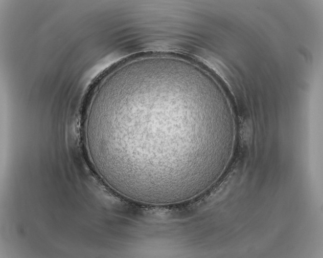 X0000114600971200911091314