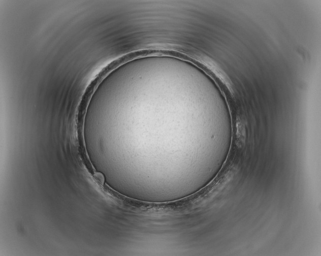 X0000114600972200911091314