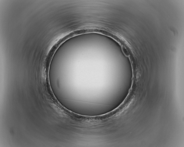 X0000114600973200911091314