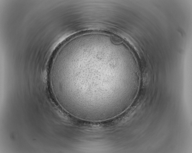 X0000114600975200911091314