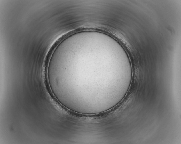 X0000114600976200911091314