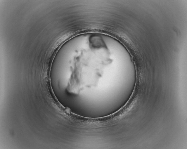 X0000114600977200911091314