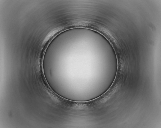 X0000114600978200911091314