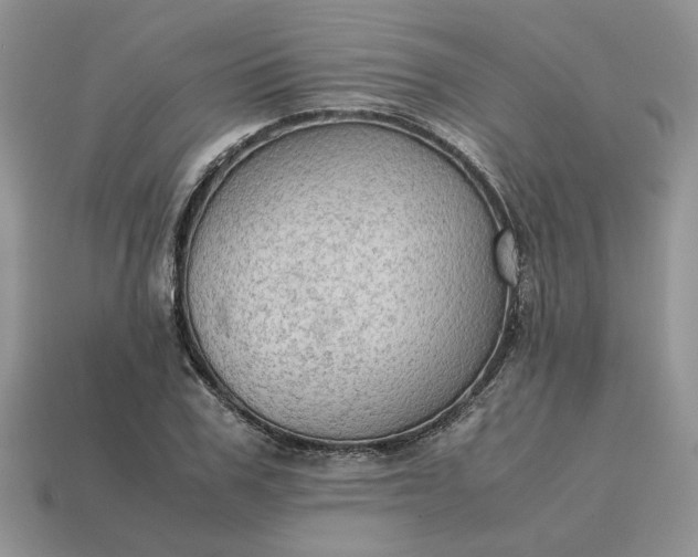 X0000114600979200911091314