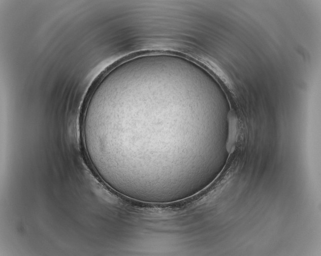 X0000114600980200911091314