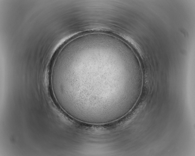 X0000114600983200911091314