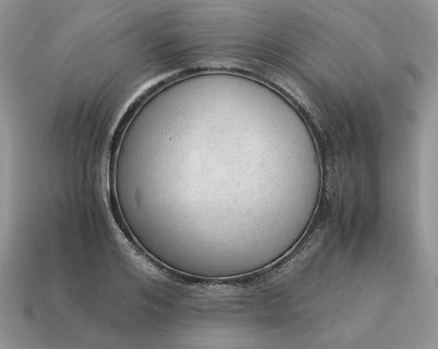 X0000114600984200911091314