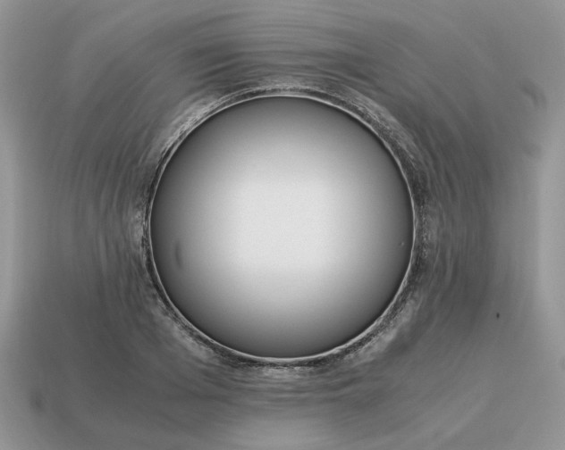 X0000114600985200911091314