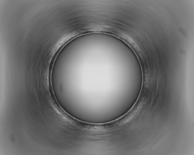 X0000114600986200911091314