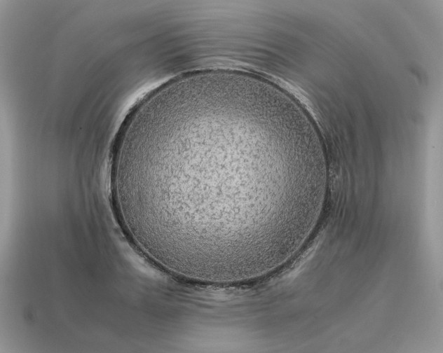 X0000114600987200911091314