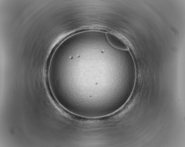 X0000114600989200911091314