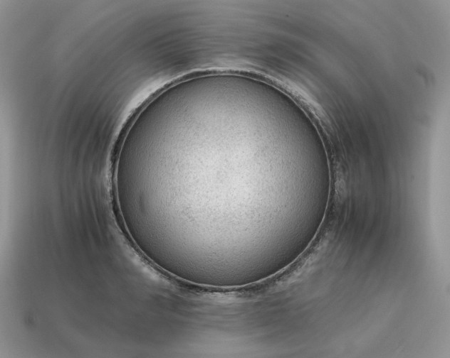 X0000114600990200911091314