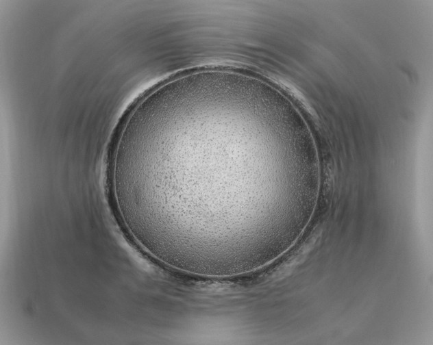 X0000114600991200911091314