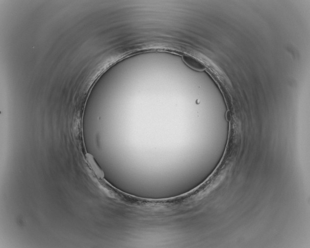 X0000114600993200911091314