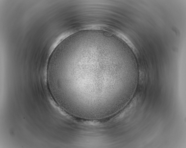 X0000114600994200911091314