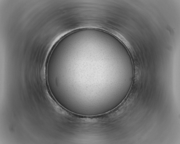 X0000114600996200911091314