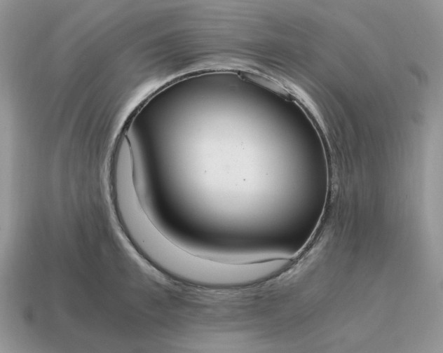 X0000114600997200911091313