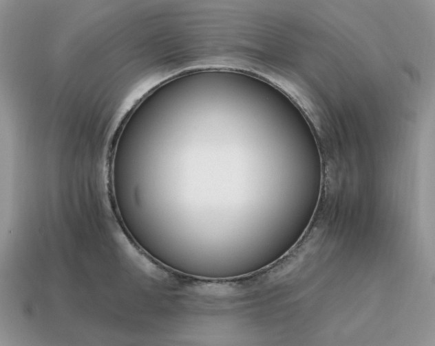 X0000114600998200911091313