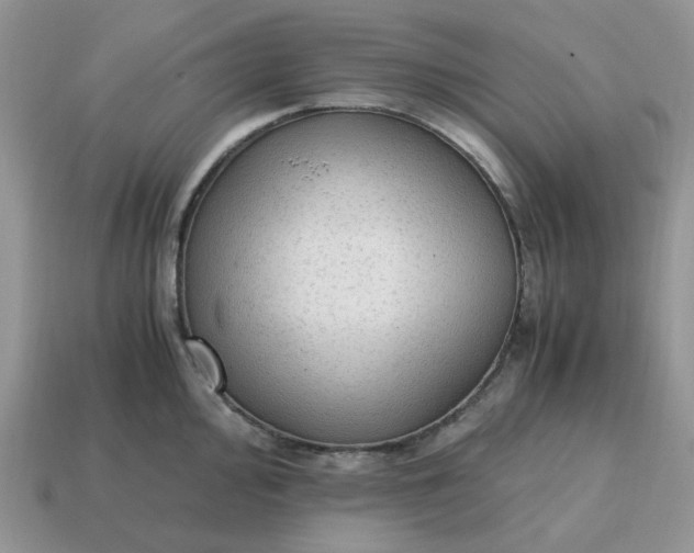 X0000114601000200911091313