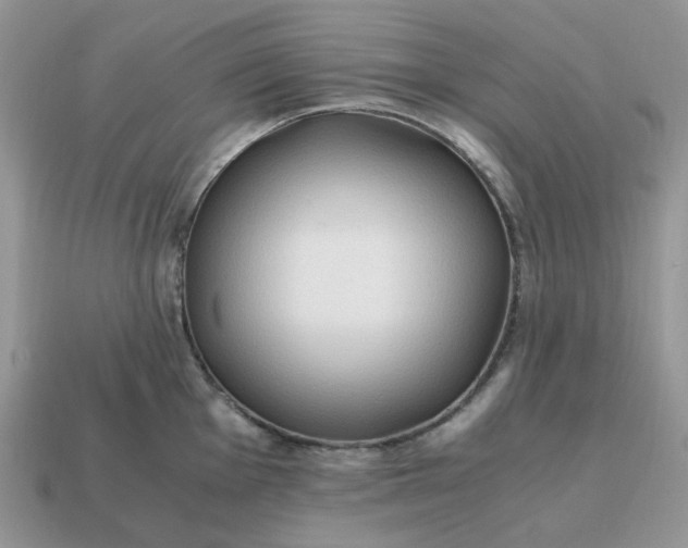 X0000114601001200911091313