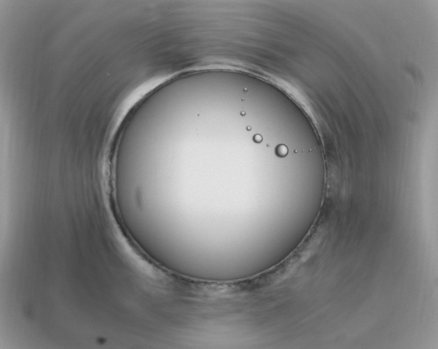 X0000114601003200911091313