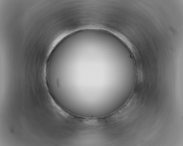 X0000114601006200911091313