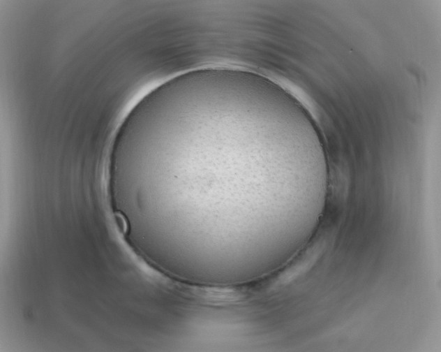 X0000114601007200911091313