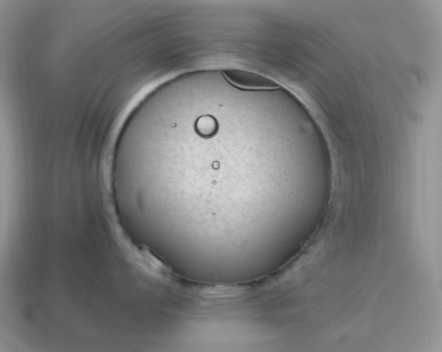 X0000114601008200911091313