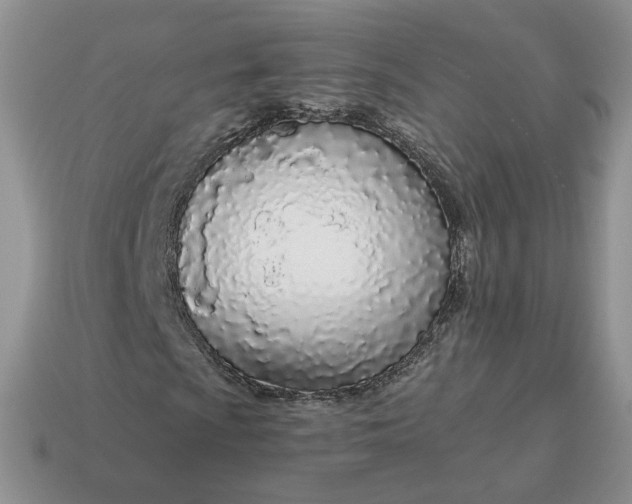 X0000114601009200911091313