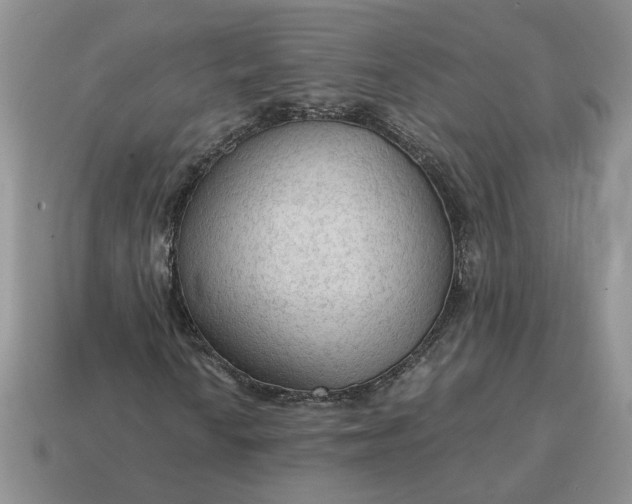 X0000114601010200911091313